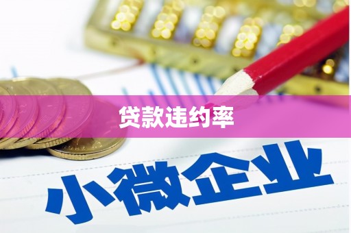 湟中贷款违约率