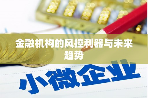 湟中金融机构的风控利器与未来趋势