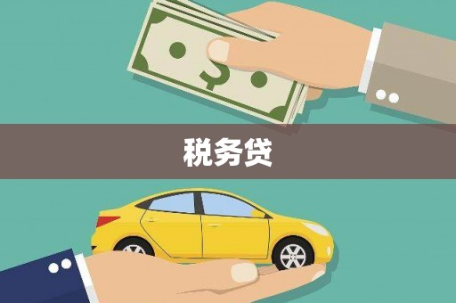 湟中税务贷