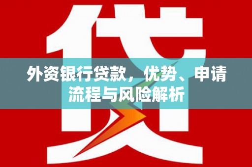 湟中外资银行贷款，优势、申请流程与风险解析