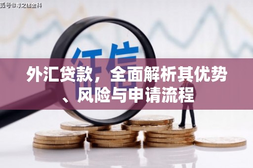 湟中外汇贷款，全面解析其优势、风险与申请流程