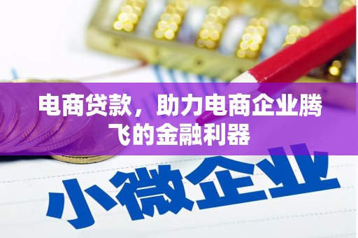 湟中电商贷款，助力电商企业腾飞的金融利器