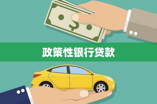 湟中政策性银行贷款