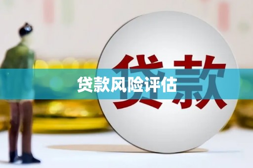 湟中贷款风险评估