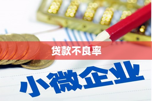 湟中贷款不良率