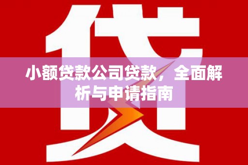 湟中小额贷款公司贷款，全面解析与申请指南