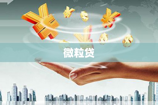 湟中微粒贷