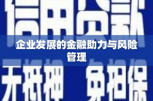 湟中企业发展的金融助力与风险管理