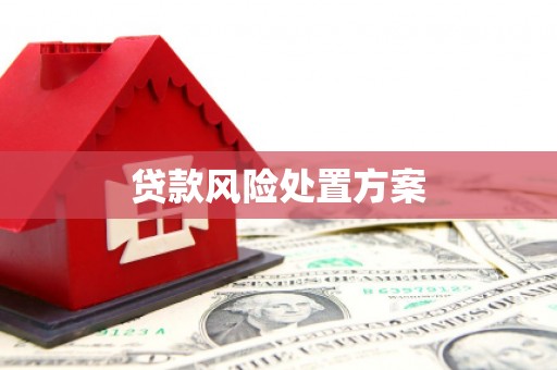 湟中贷款风险处置方案