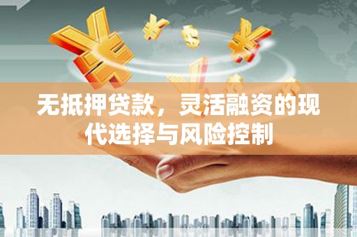 湟中无抵押贷款，灵活融资的现代选择与风险控制