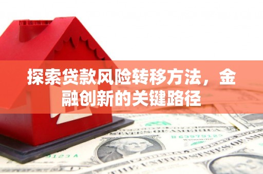 湟中探索贷款风险转移方法，金融创新的关键路径