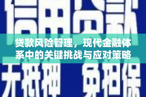 湟中贷款风险管理，现代金融体系中的关键挑战与应对策略