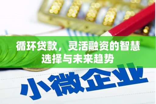 湟中循环贷款，灵活融资的智慧选择与未来趋势