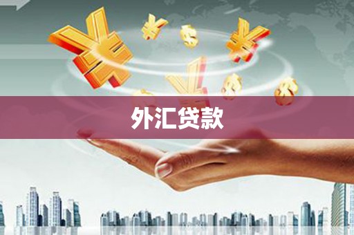 湟中外汇贷款