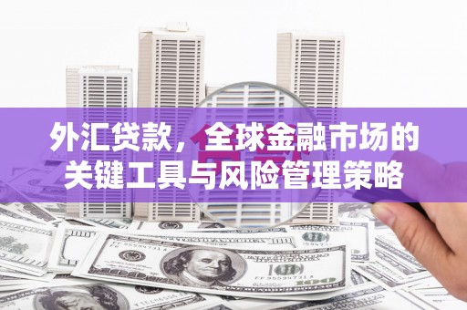 湟中外汇贷款，全球金融市场的关键工具与风险管理策略