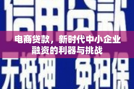 湟中电商贷款，新时代中小企业融资的利器与挑战