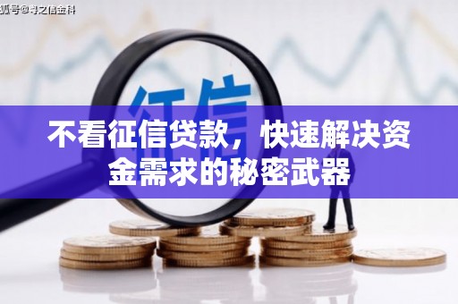湟中不看征信贷款，快速解决资金需求的秘密武器
