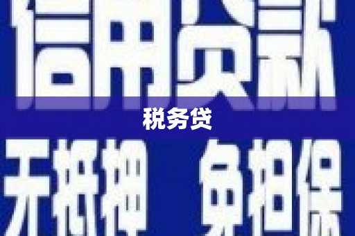 湟中税务贷