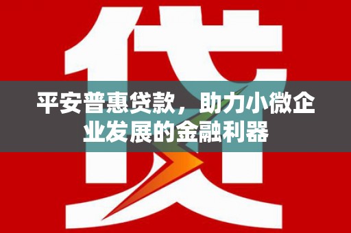 湟中平安普惠贷款，助力小微企业发展的金融利器