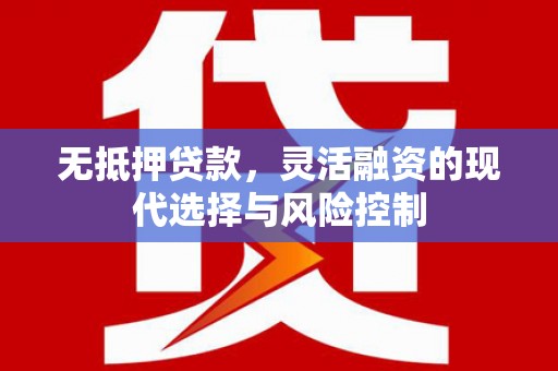 湟中无抵押贷款，灵活融资的现代选择与风险控制