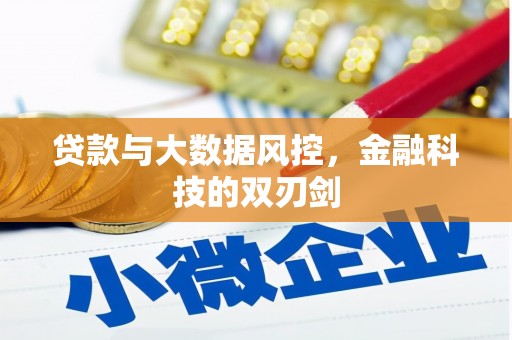 湟中贷款与大数据风控，金融科技的双刃剑