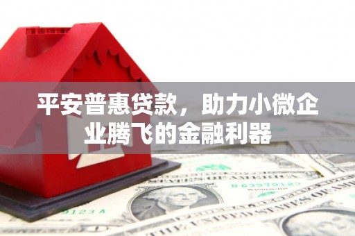 湟中平安普惠贷款，助力小微企业腾飞的金融利器