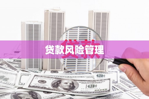 湟中贷款风险管理