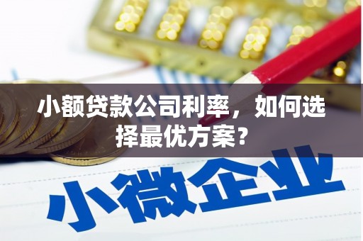湟中小额贷款公司利率，如何选择最优方案？