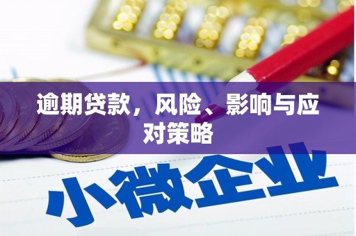 湟中逾期贷款，风险、影响与应对策略