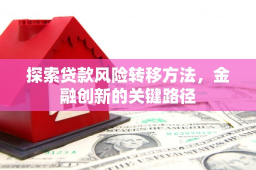 湟中探索贷款风险转移方法，金融创新的关键路径