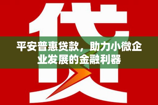 湟中平安普惠贷款，助力小微企业发展的金融利器