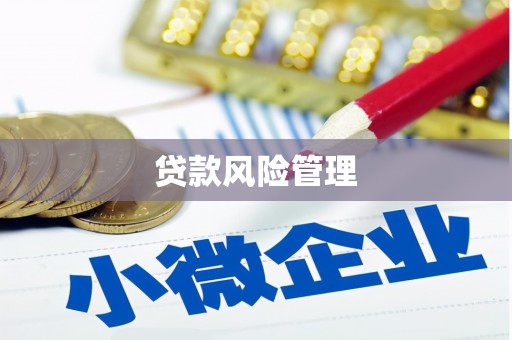 湟中贷款风险管理