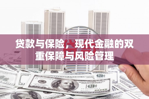 湟中贷款与保险，现代金融的双重保障与风险管理