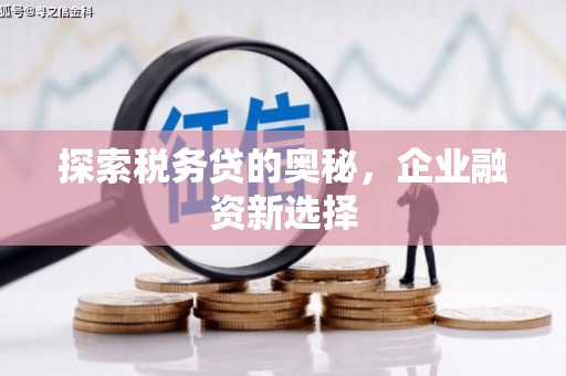 湟中探索税务贷的奥秘，企业融资新选择