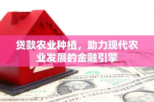 湟中贷款农业种植，助力现代农业发展的金融引擎