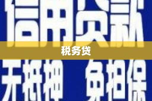 湟中税务贷