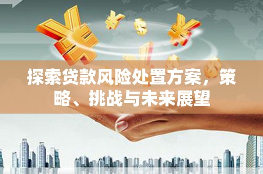 湟中探索贷款风险处置方案，策略、挑战与未来展望