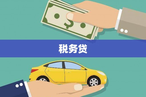 湟中税务贷