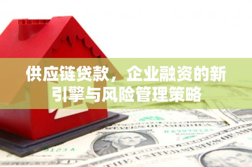 湟中供应链贷款，企业融资的新引擎与风险管理策略