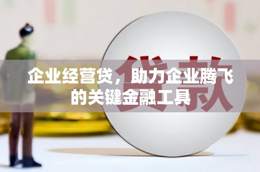 湟中企业经营贷，助力企业腾飞的关键金融工具