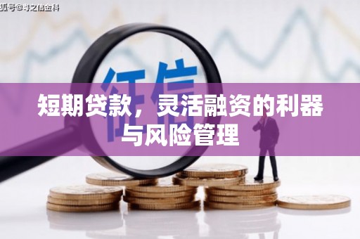 湟中短期贷款，灵活融资的利器与风险管理
