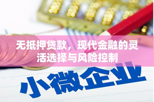 湟中无抵押贷款，现代金融的灵活选择与风险控制