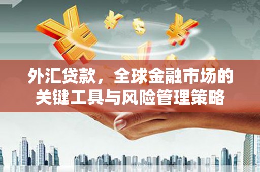 湟中外汇贷款，全球金融市场的关键工具与风险管理策略