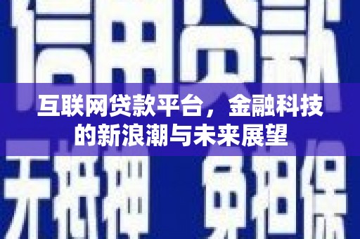 湟中互联网贷款平台，金融科技的新浪潮与未来展望