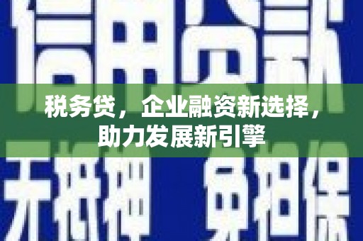 湟中税务贷，企业融资新选择，助力发展新引擎