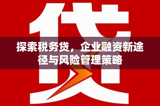 湟中探索税务贷，企业融资新途径与风险管理策略