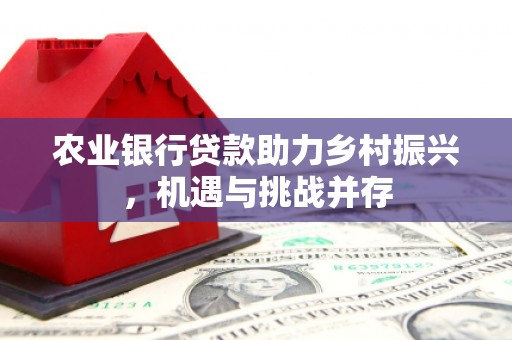 湟中农业银行贷款助力乡村振兴，机遇与挑战并存