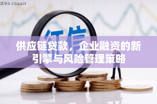 湟中供应链贷款，企业融资的新引擎与风险管理策略