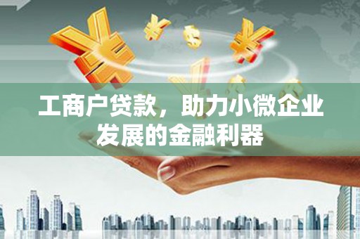 湟中工商户贷款，助力小微企业发展的金融利器