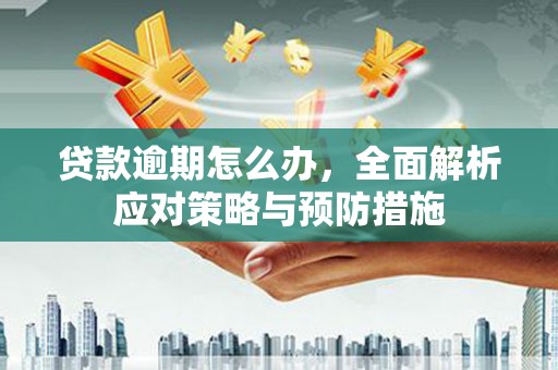 湟中贷款逾期怎么办，全面解析应对策略与预防措施